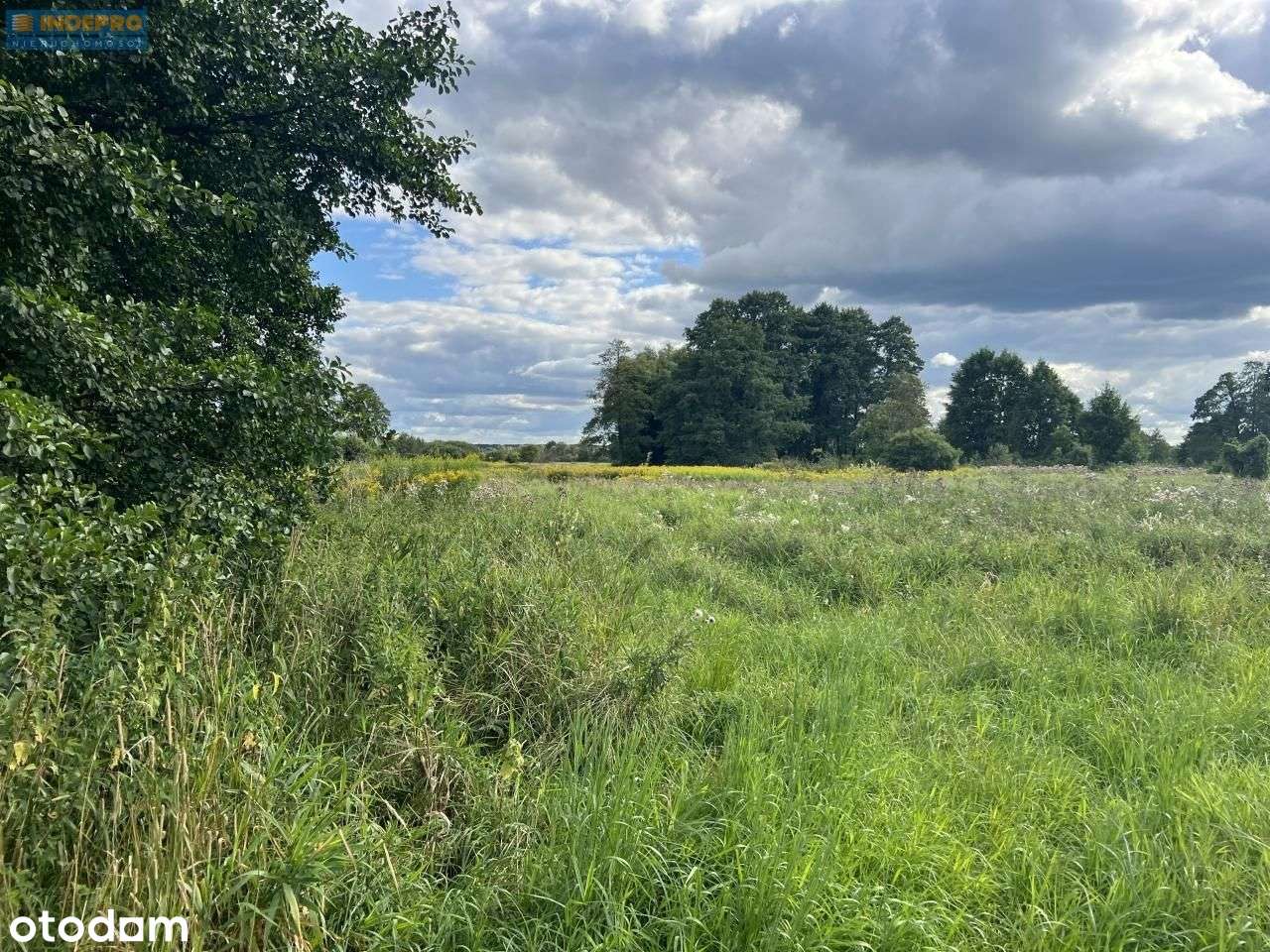 Duchnów 3769m² (1000m²+las) Wz – 3km do A2 rzeka-13