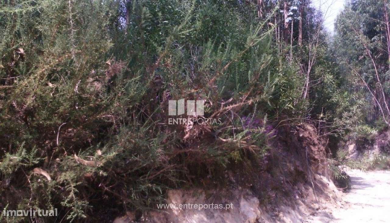 Venda de terreno, Canidelo, Vila do Conde - Grande imagem: 4/5