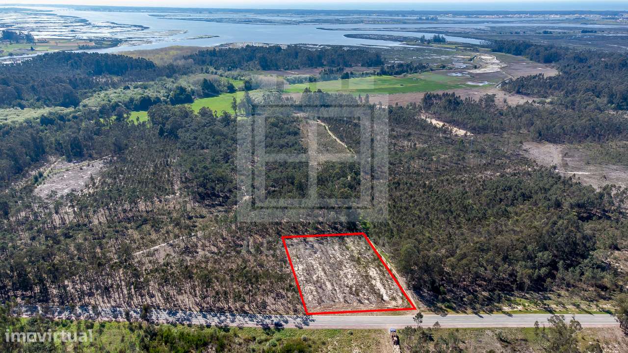 Terreno rústico com 3.810 m2 em Válega - Grande imagem: 5/18