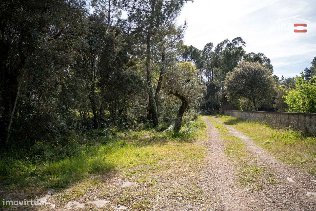 TERRENO COM AREA DE 4280 M2 COM VIABILIDADE DE CONSTRUÇÃO JA TEVE P... - Grande imagem: 5/11