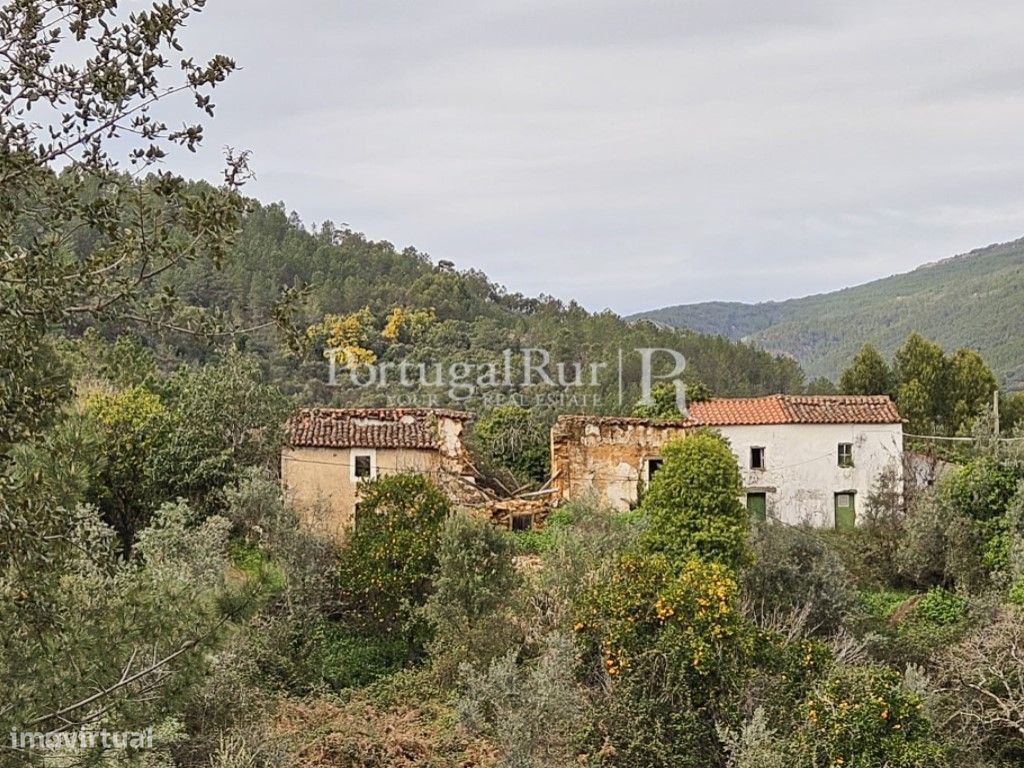 Quintinha com 3 ha para recuperar no P. N. da Serra da S....