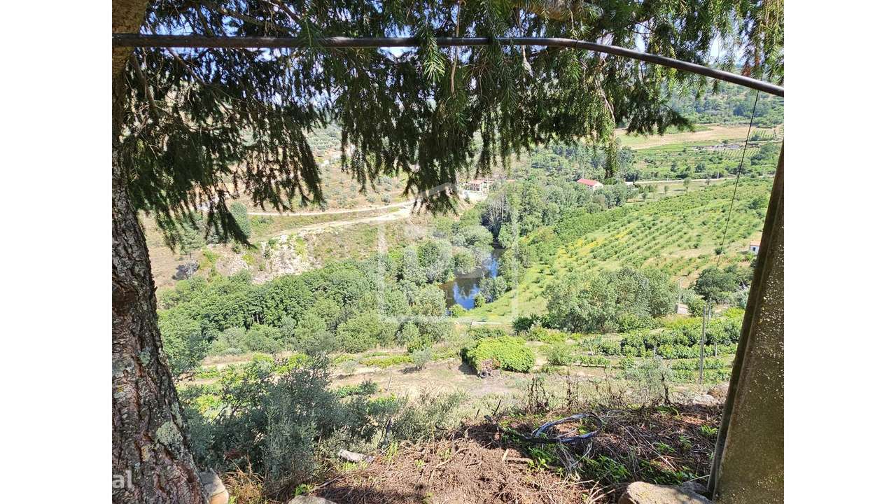 Quinta  Venda em Várzea de Abrunhais,Lamego-13
