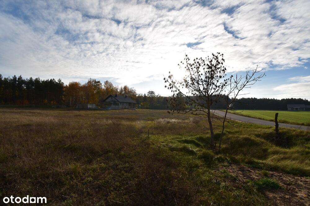 Budowlana przy lesie i jeziorze - Pełny obrazek: 4/9