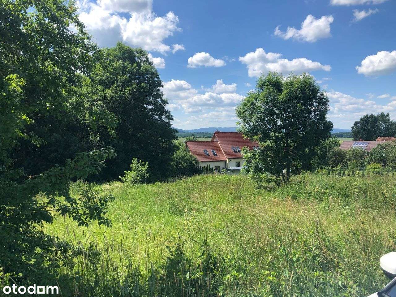 Widokowa działka budowlana- 4096m2, Płonica, 57-250 Złoty Stok - Pełny obrazek: 5/14