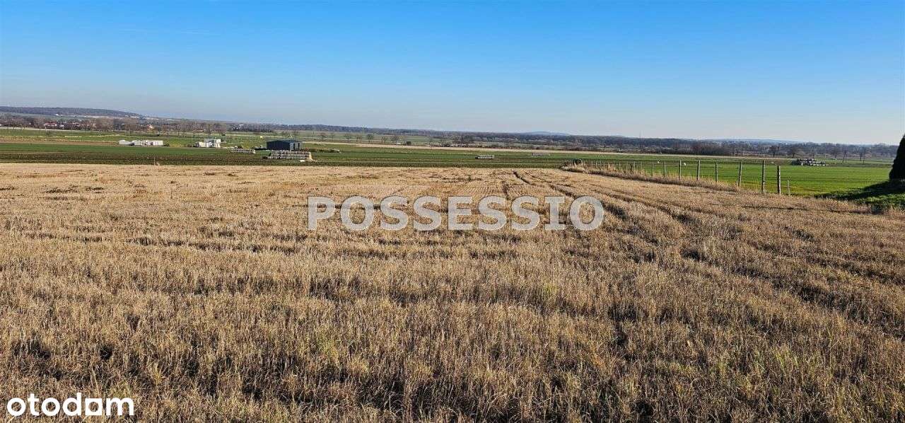 Dziaka Komercyjna W Atrakcyjnej Lokalizacji-3