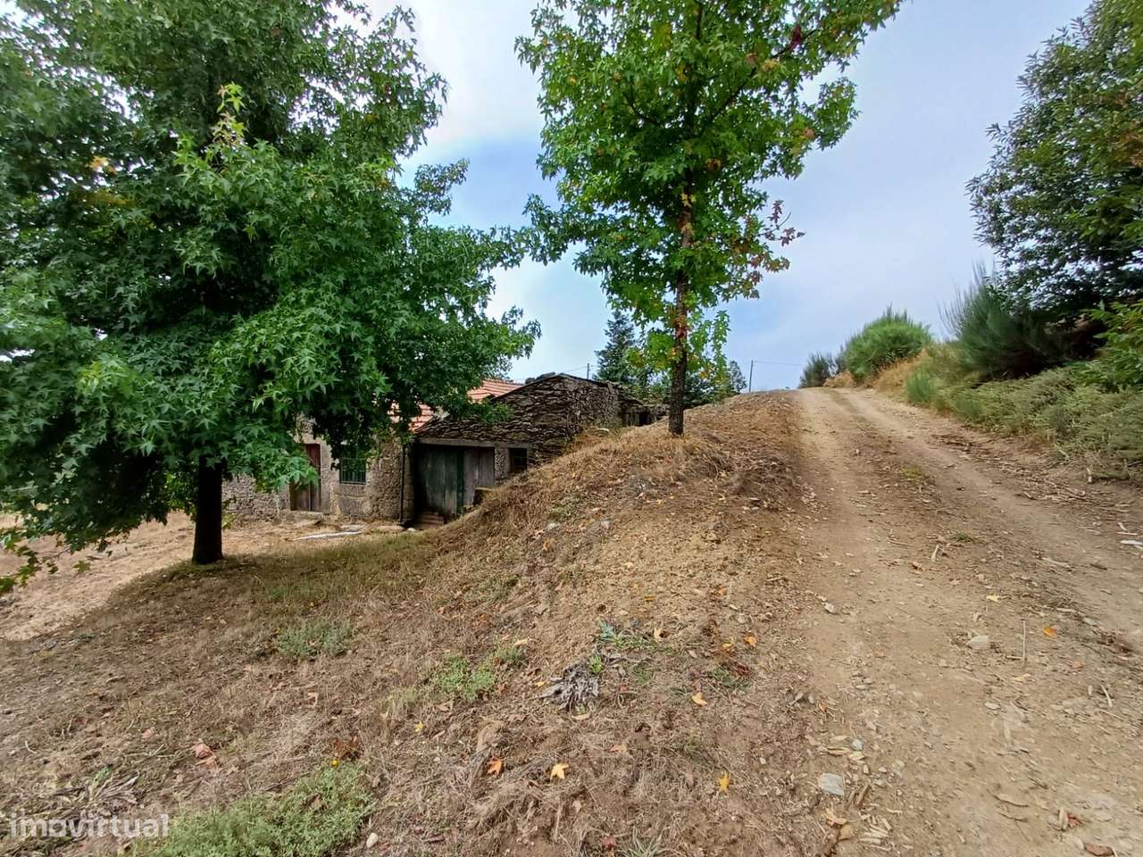 Duas habitações em 18 hectares-15