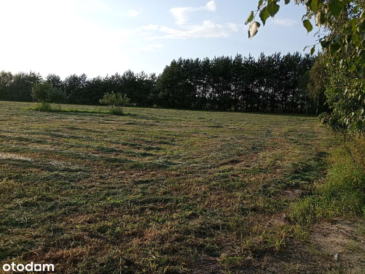 Działka budowlana 3252 m² MPZP - Pełny obrazek: 2/3