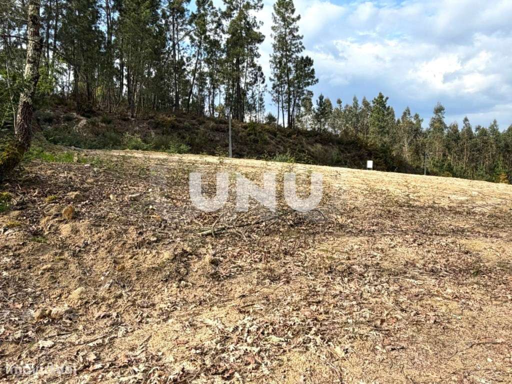 Terreno Rústico - Envolvente de Natureza-11