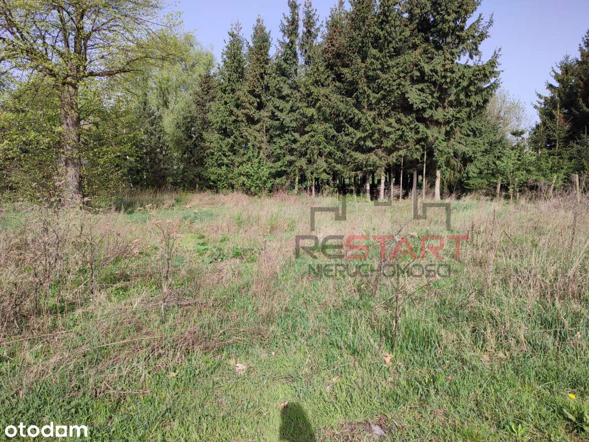 Duża działka z potencjałem ! - Pełny obrazek: 4/9