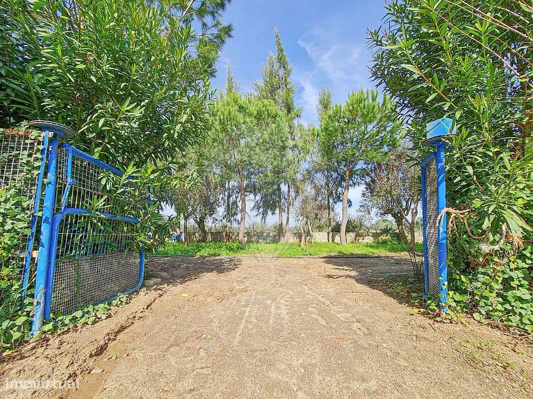 Quinta T7 para venda-11