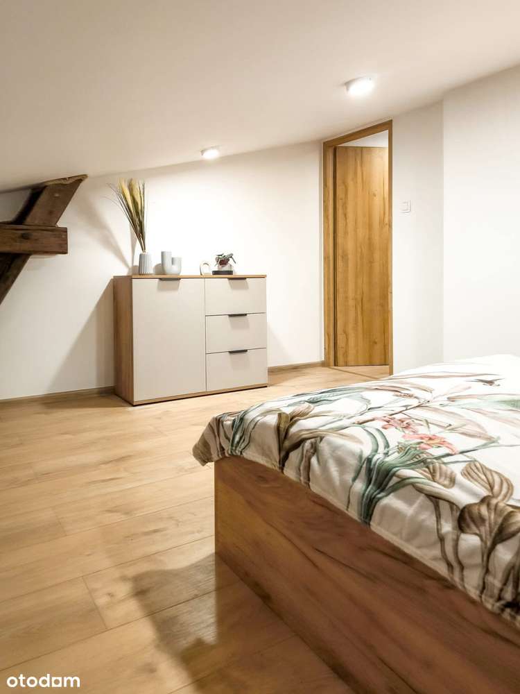 Po remoncie! do zamieszkania KATOWICE PARK ŚLĄSKI-5