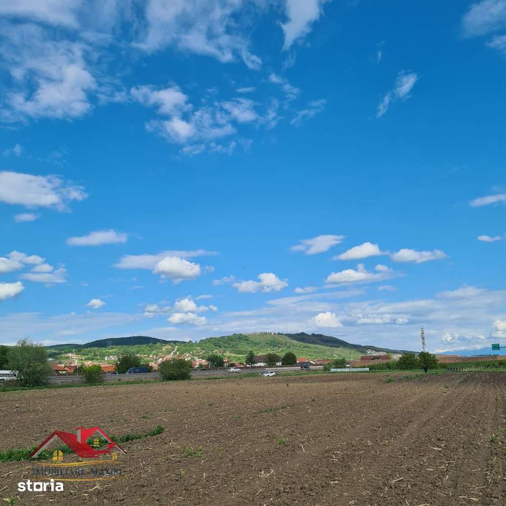 Imobiliare Maxim  teren extravilan Gușterița-3