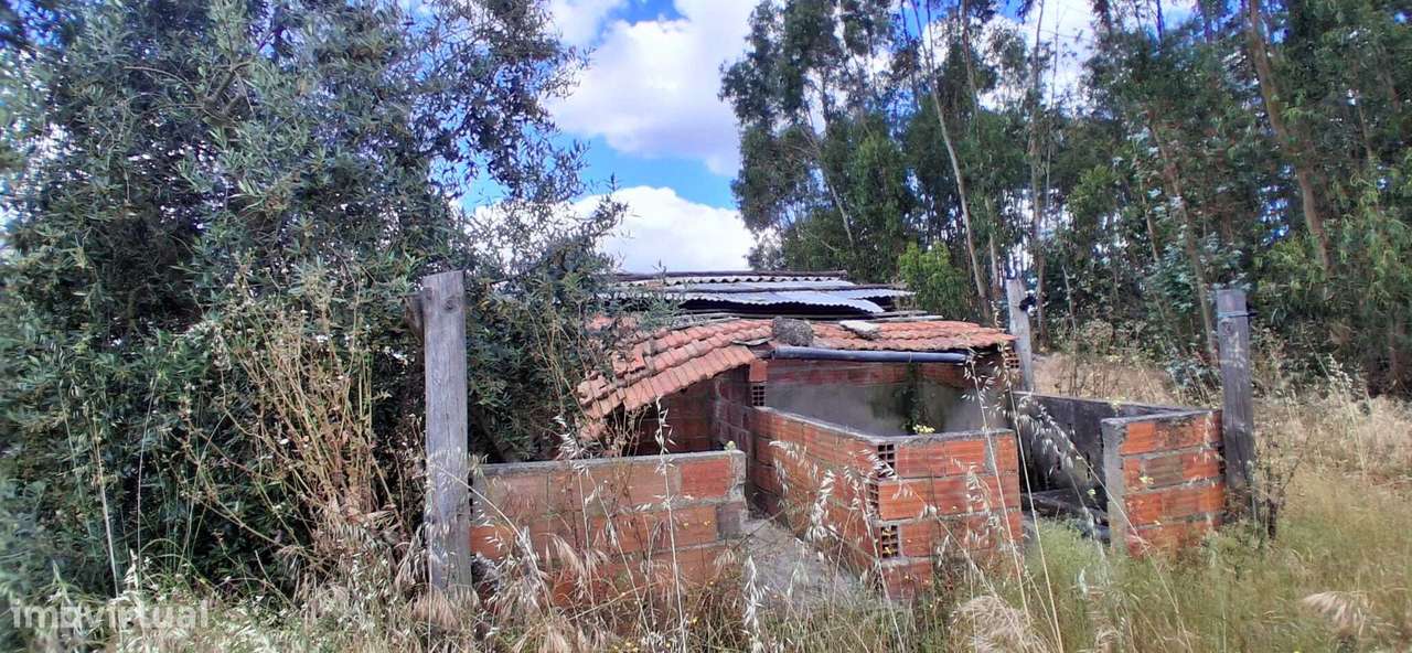Casa de Campo - Moradia T2 com quintal -Coruche / Lamarosa / Santarém-19
