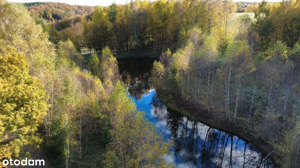 Cisza i spokój I Ze stawem - Pełny obrazek: 4/11
