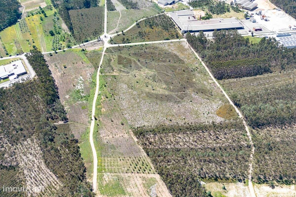 Terreno  para venda - Grande imagem: 4/4