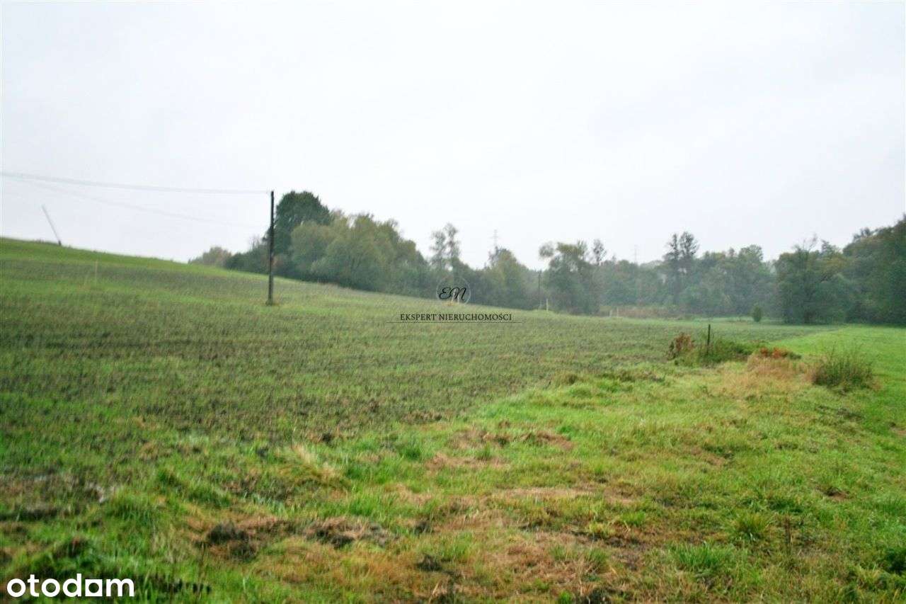 Działka w centrum Cieszyna ! 1317m2 w dobrej cenie-0