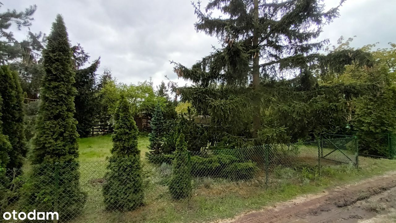 Wyjątkowy ogródek działkowy działka Poznań Marlewo