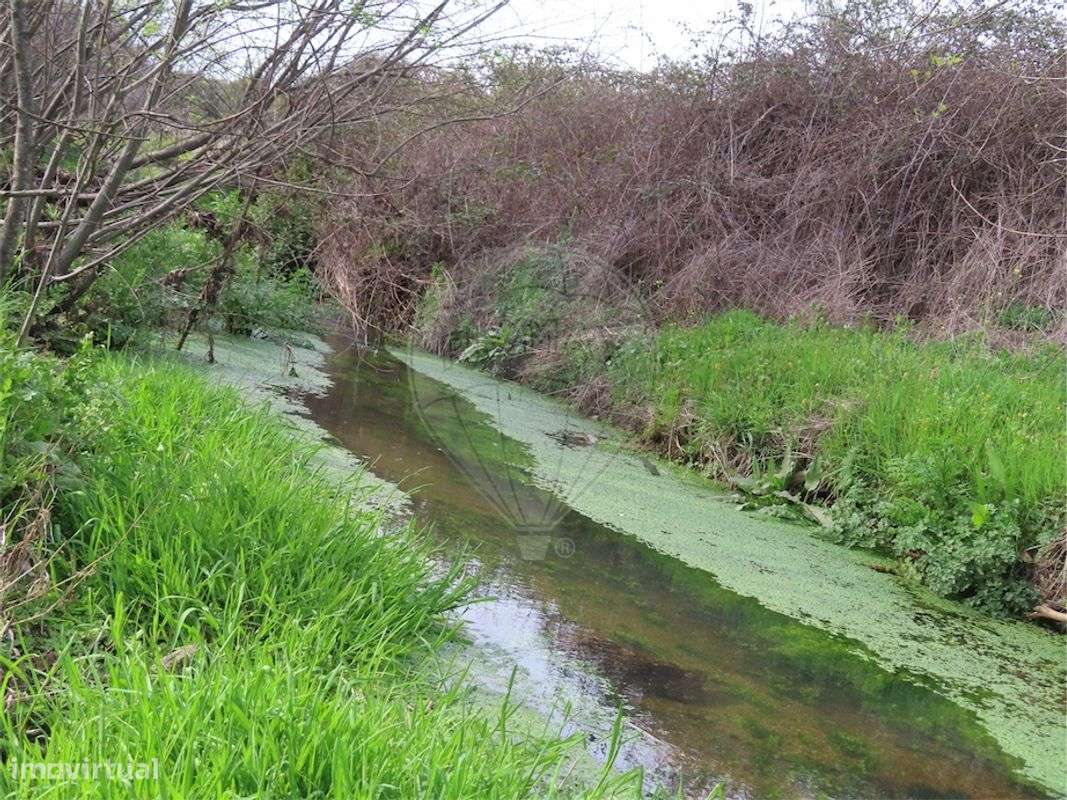 Quinta  para venda - Grande imagem: 2/22