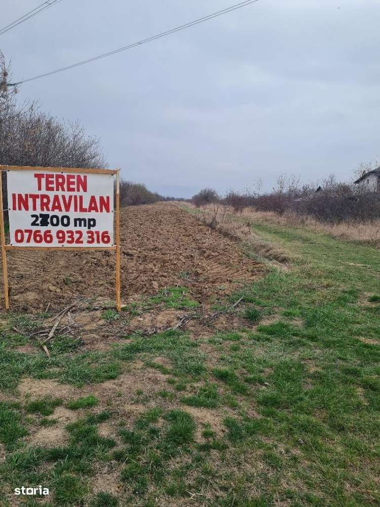 Teren suprafata 5 500 mp Albota - Imagine principală: 5/5