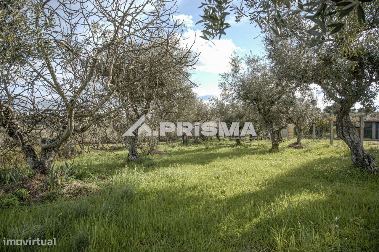 Terreno para venda em Póvoa de Rio de Moinhos - Grande imagem: 3/25
