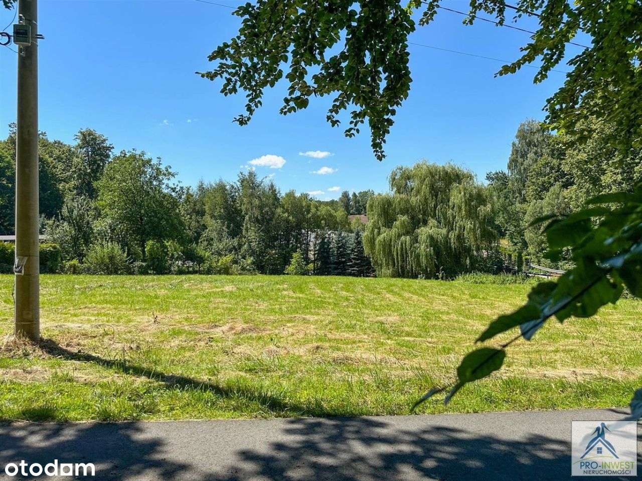 Cisza, spokój i las tuż za oknem w mieście Bielsko-13