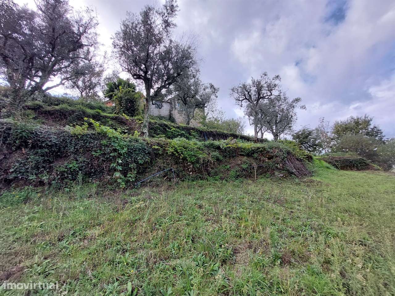 Quintinha com casa habitação - Grande imagem: 4/19