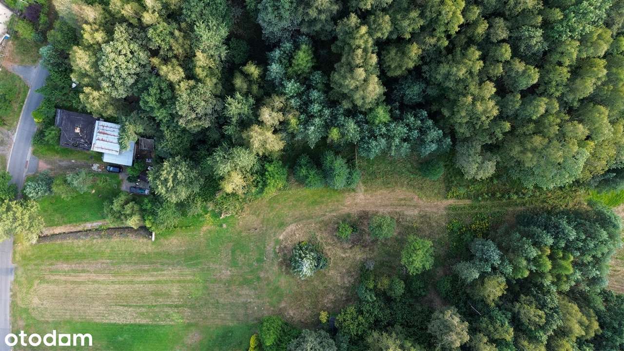 Działka, 5 930 m², Rybnik - Pełny obrazek: 5/7