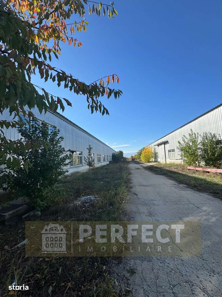 Hale industriale 2 x 1920mp DN1 de inchiriat la 3.9 euro/mp neg. - Imagine principală: 2/17