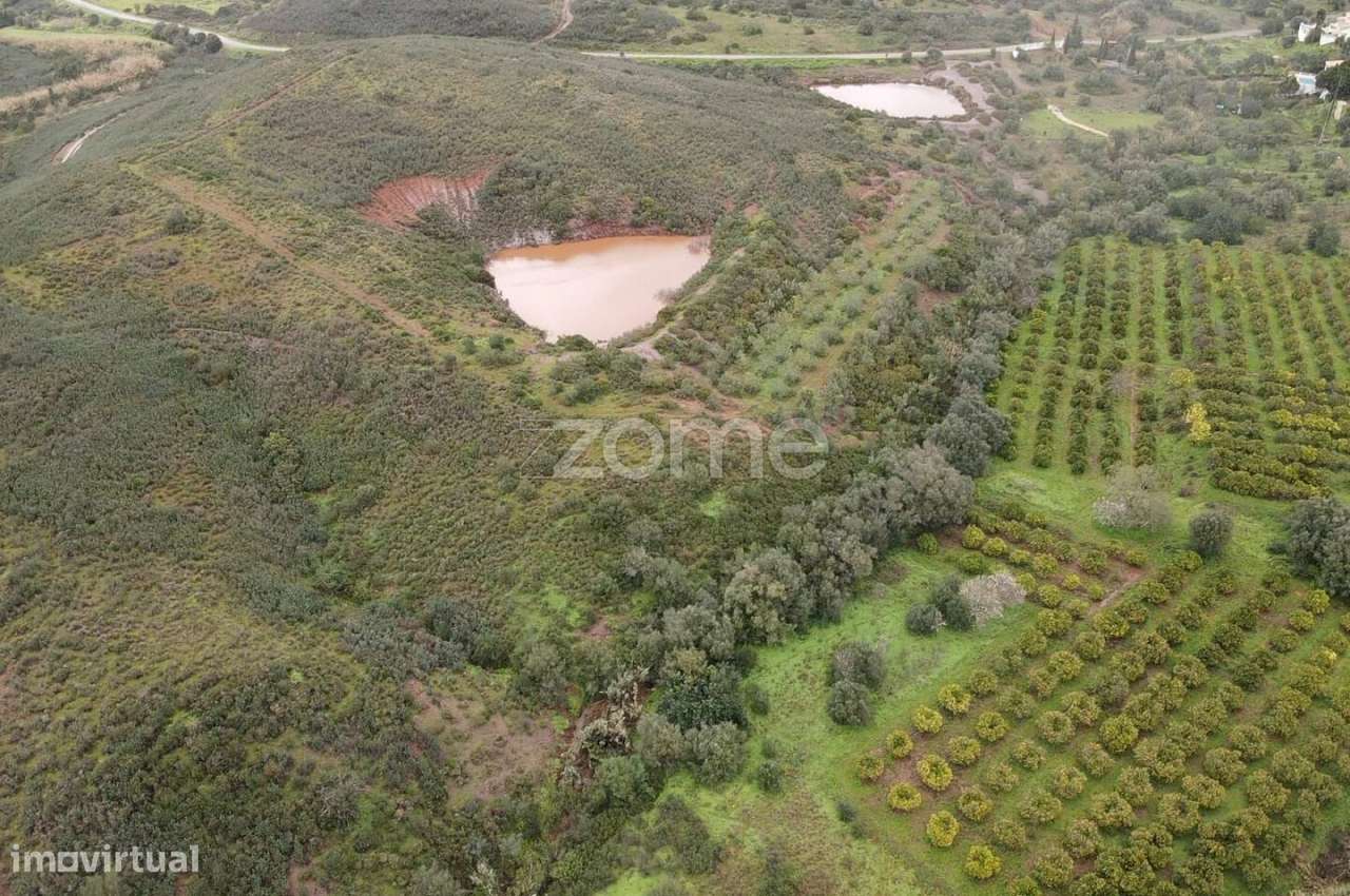 Terrenos Rústicos c/ total de 2.960m2 em Gregórios, Messines - Grande imagem: 3/15