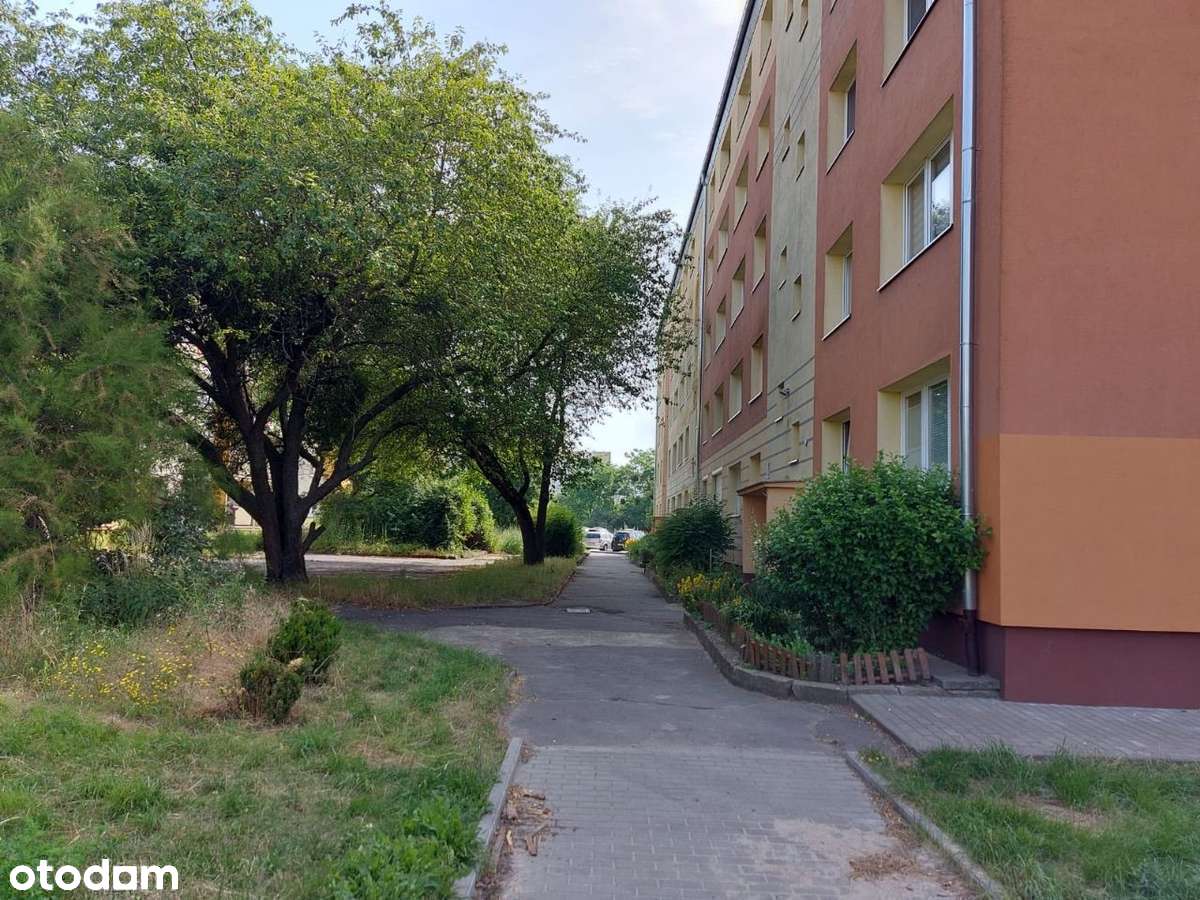 Mieszkanie w cichej zielonej okolicy przy komunikacji miejskiej ;) - Pełny obrazek: 4/19