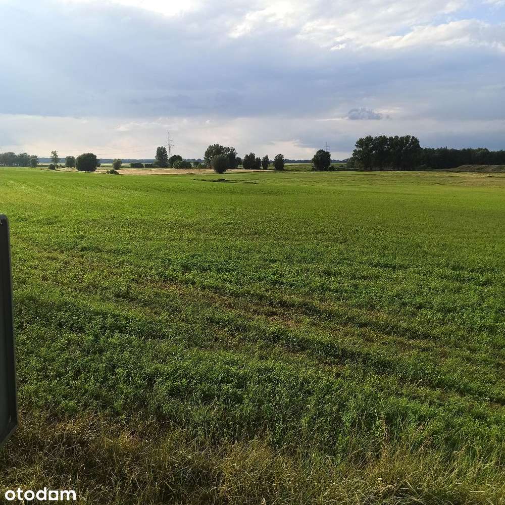 Działki usługowe Sierakowo 4000m2 - 8000m2-6