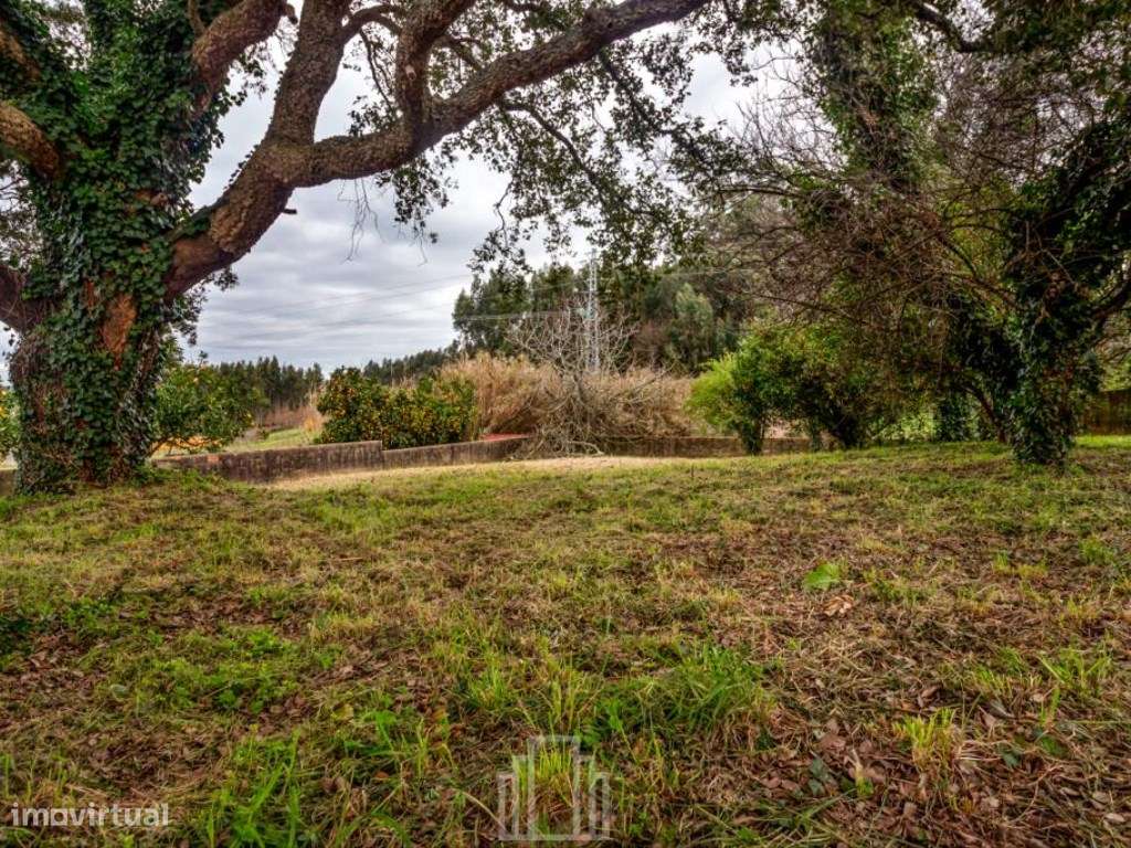 Lote - Salreu - Grande imagem: 3/11