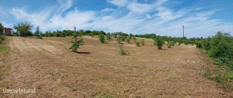 Terreno Rústico 9000m² - Grande imagem: 4/6