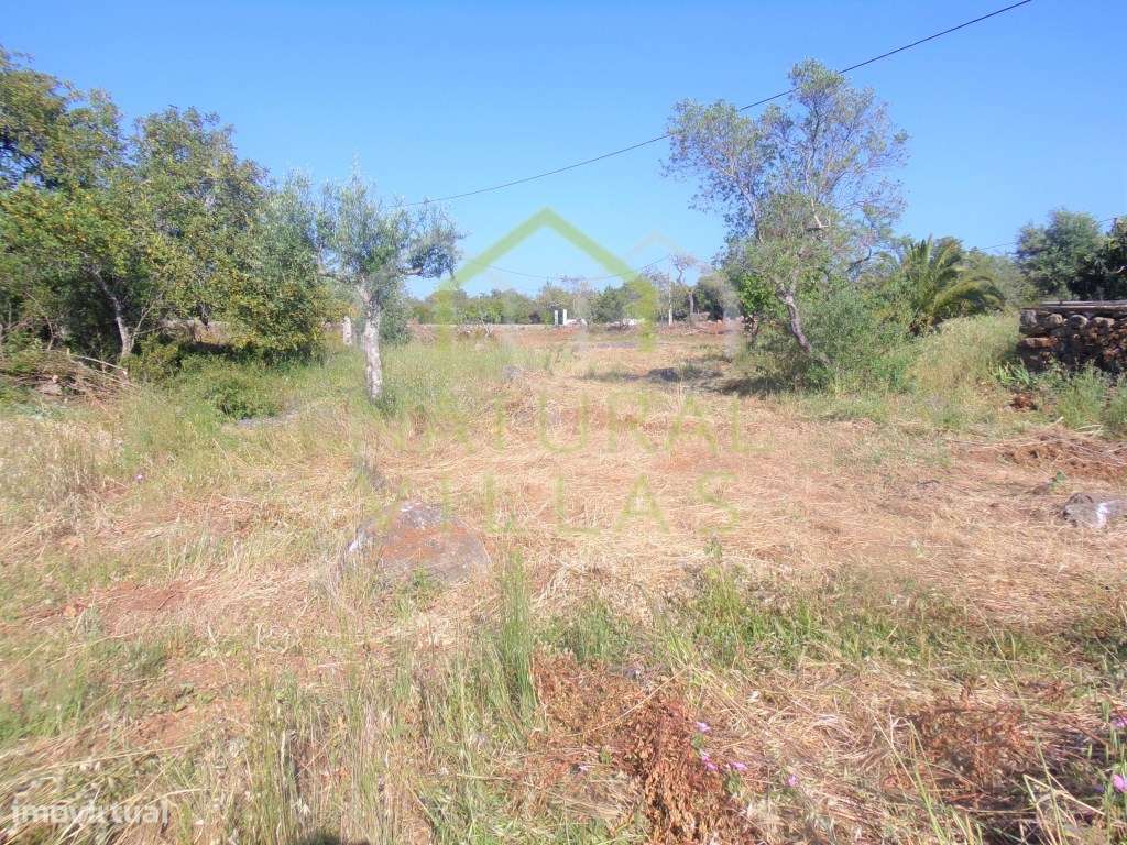 Ruína com Terreno Plano em Santa Bárbara de Nexe, Faro - Grande imagem: 4/9