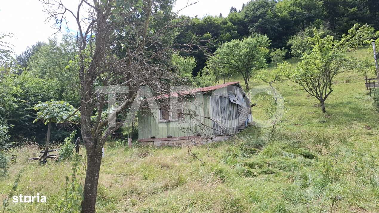 Teren 2500 mp la drum pe Valea Stezii Curmatura Rasinari - Imagine principală: 4/8