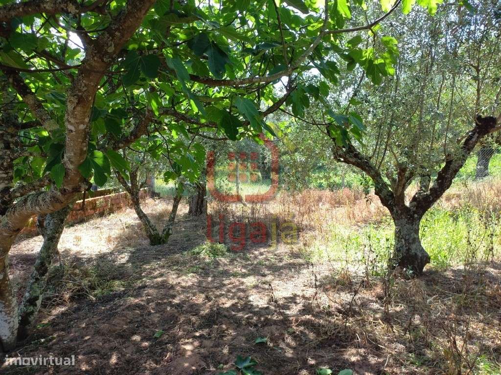 Terreno para Construção! - Grande imagem: 4/4