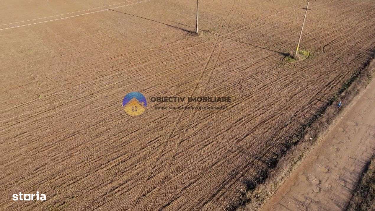 Teren investitie intravilan 3600 mp – Dumbrava Rosie - Imagine principală: 4/6