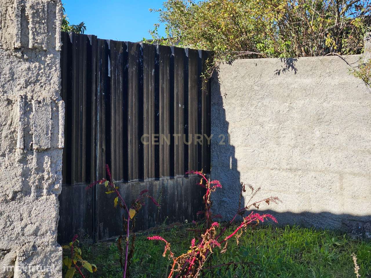 Fantástico Terreno Rústico em Alcains, Castelo Branco - Grande imagem: 5/18