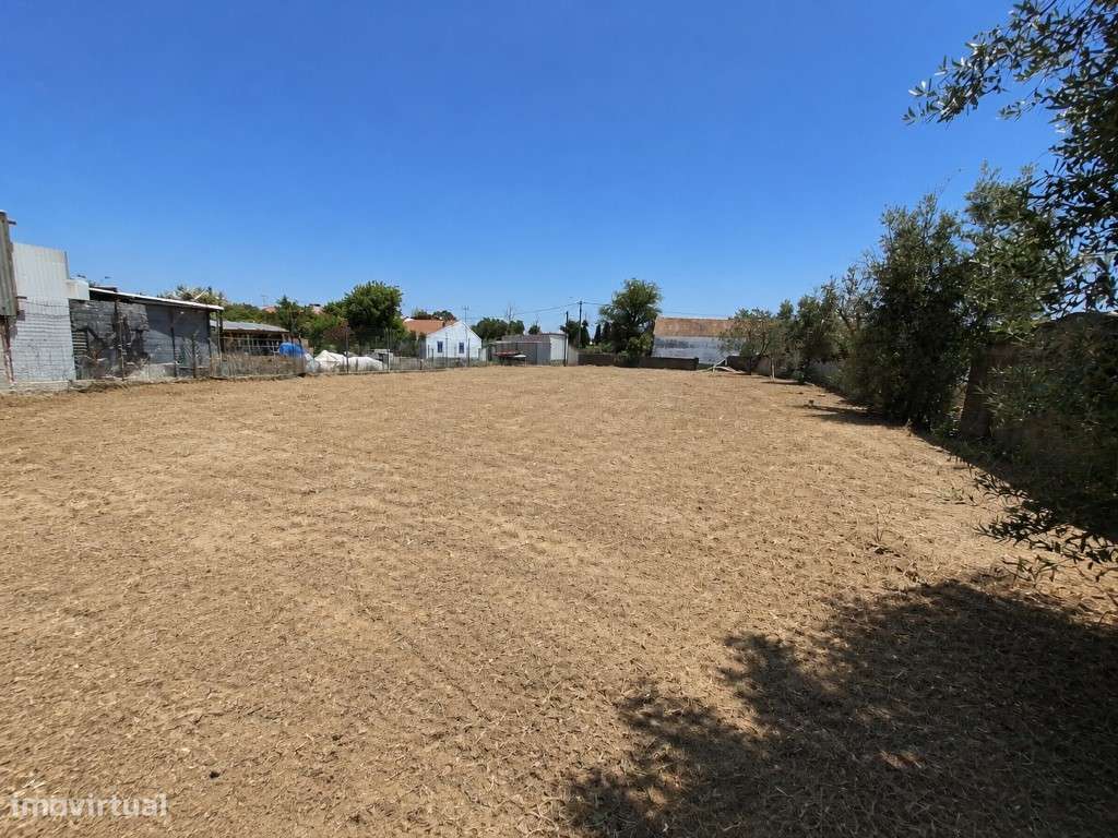 ARMAZÉM (Lote c/ 900 m²)-7