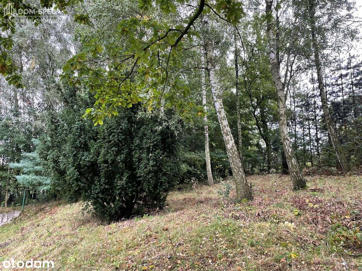 Działka budowlana 3670 m2 Wodzisław Śląski - Pełny obrazek: 4/4