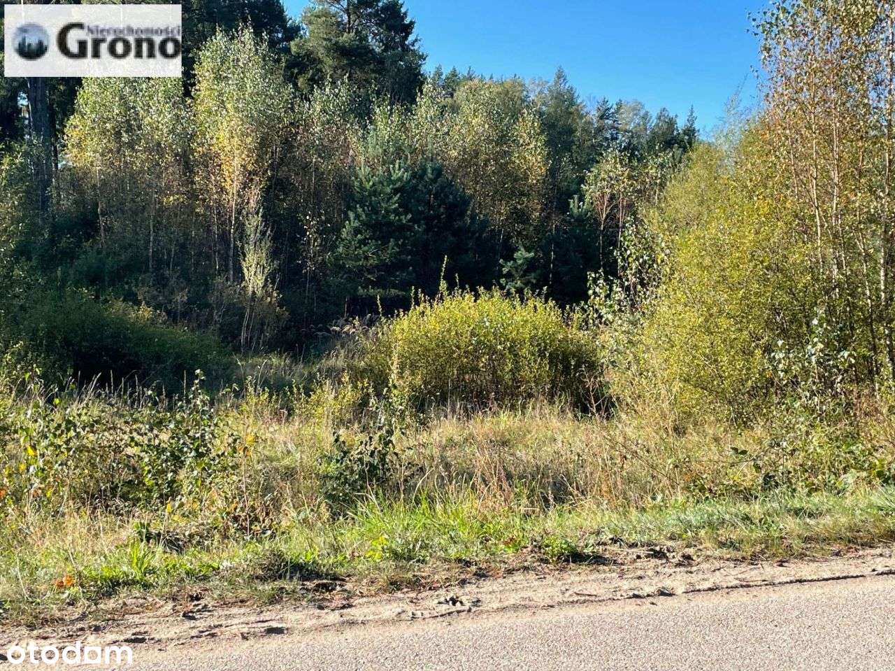 Dzialka Budowlana Uslugowa z Wz-16