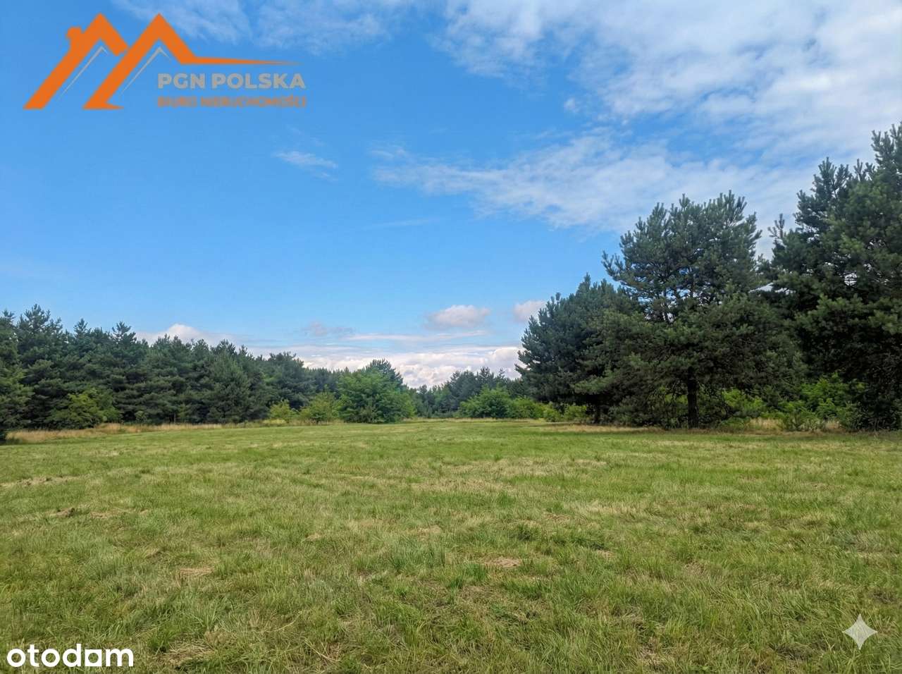 Twój dom pod lasem | Kiszewo | Blisko rzeki Warty | Duża działka-2