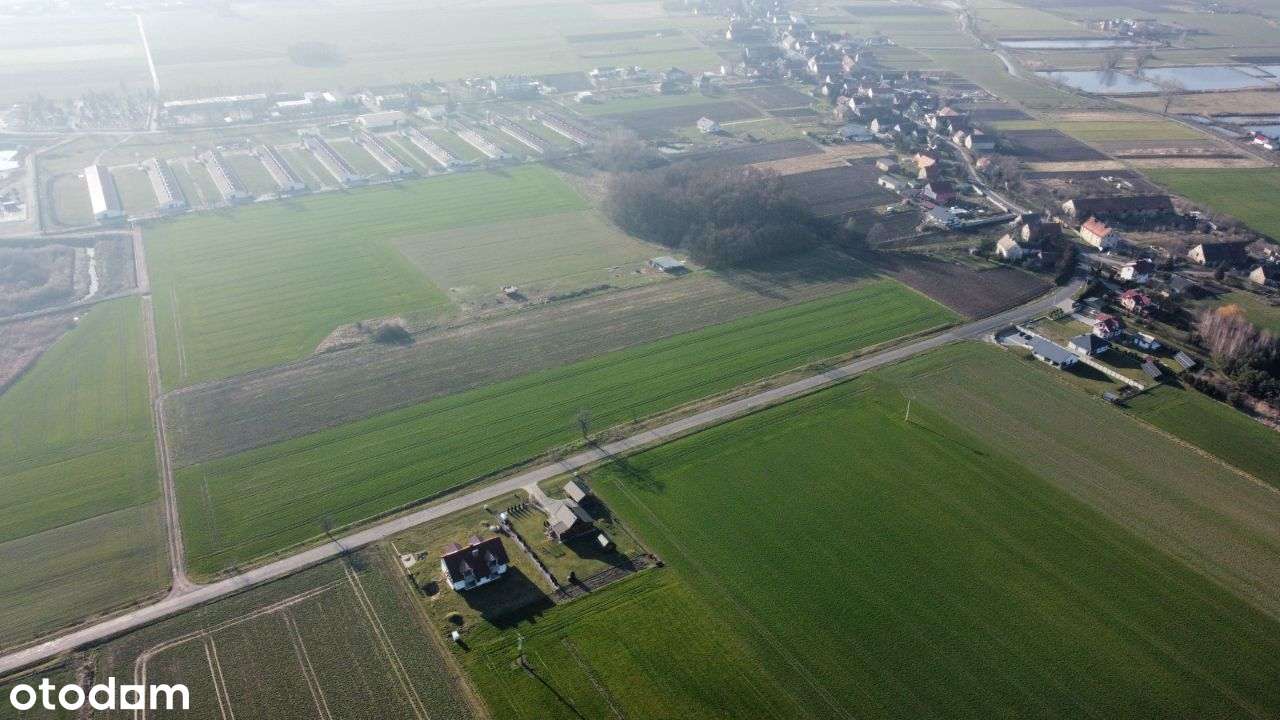 Działka budowlana 800 m2-mpzp-Miłkowice k. Legnicy - Pełny obrazek: 4/5