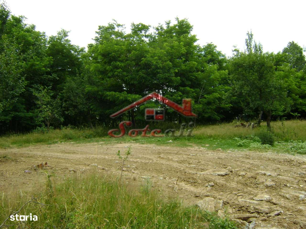 Teren de vanzare Cornu 3074 mp-5