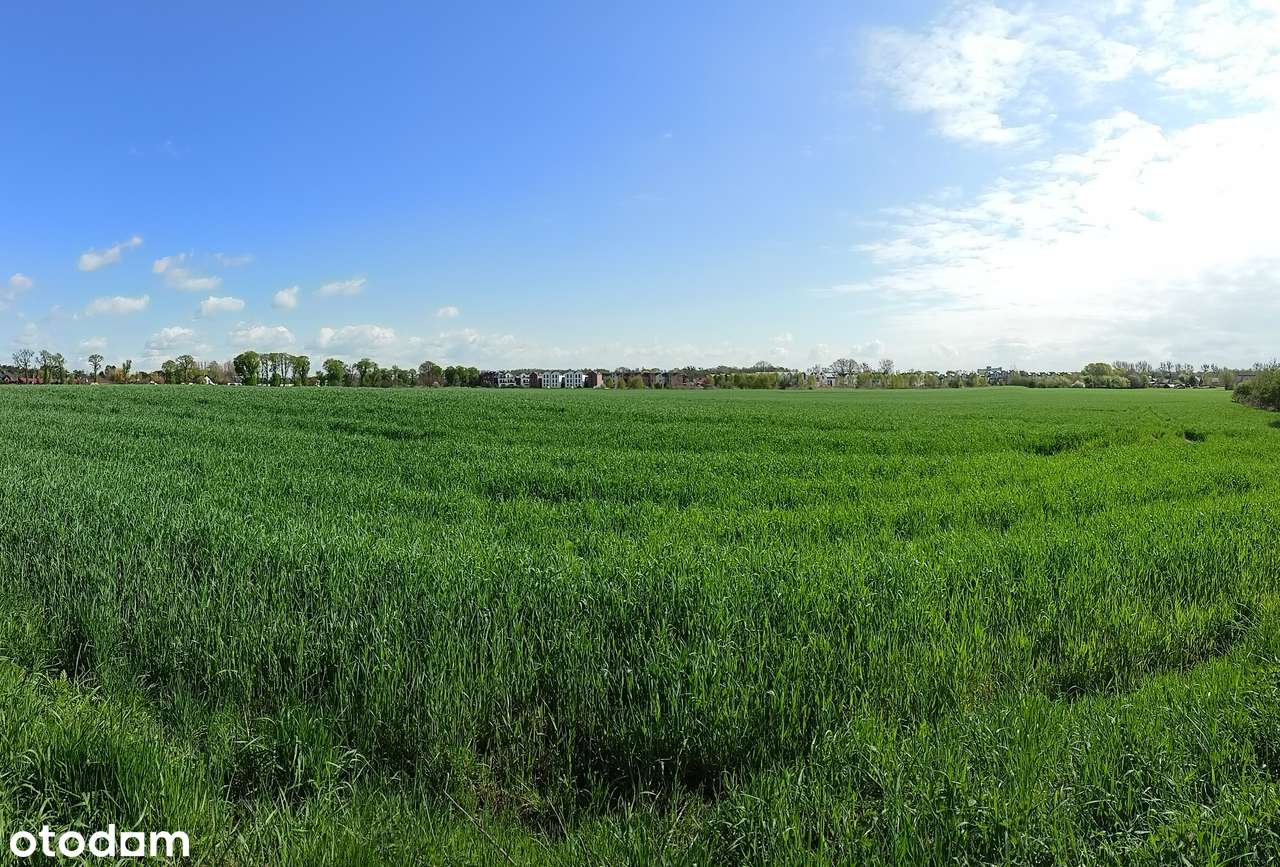 | Koninko | PROMOCJA | OKAZJA INWESTYCYJNA | działki budowlane | - Pełny obrazek: 4/7