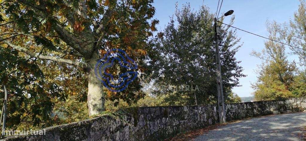 Quinta com excelente exposição solar, toda murada em pedra azul- para - Grande imagem: 4/13