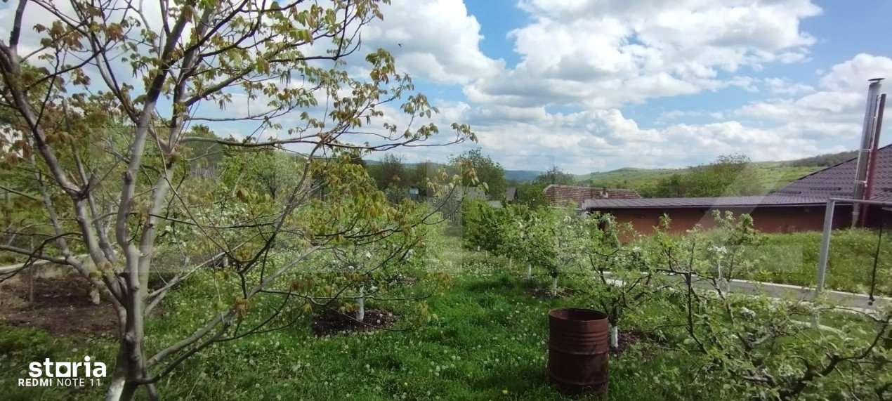 Casa+ casa vacanta, 2200 mp livada, Schitu-Duca - Imagine principală: 5/12