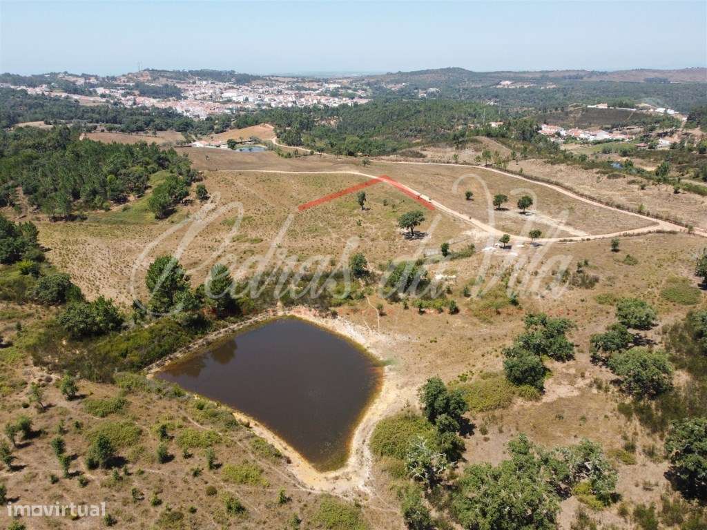 Quinta de 25ha com projeto aprovado - São Teotónio - Odemira-18