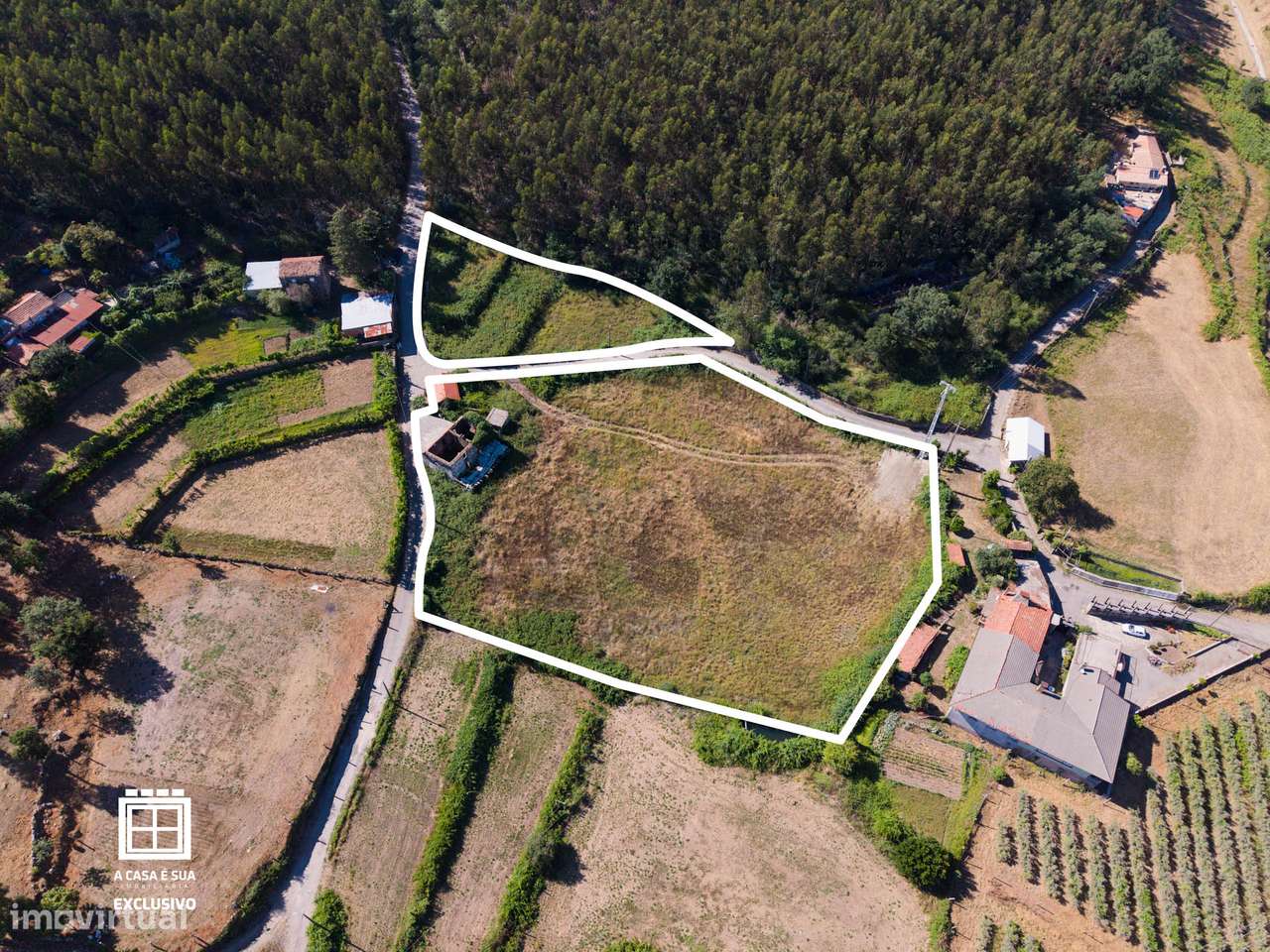 Quinta para restaurar em Macieira de Cambra - Exclusivo-9