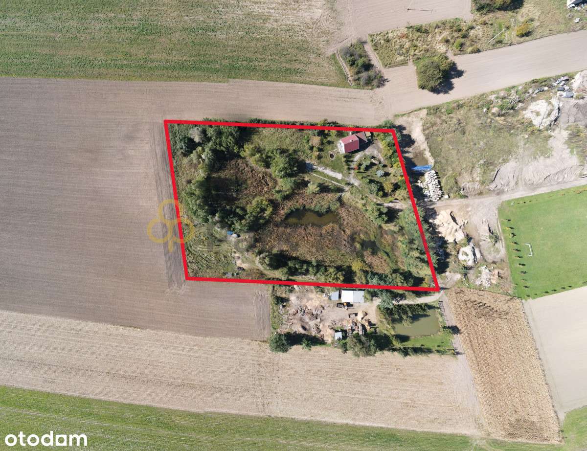 Własna zielona przestrzeń z potencjałem? To tu! - Pełny obrazek: 3/9